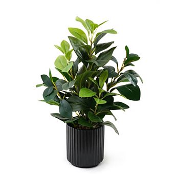 Realistic Touch Greenery Cream Black Pot Decor