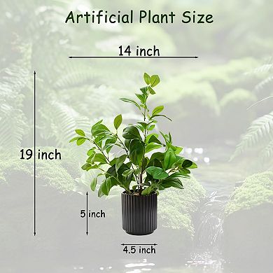 Realistic Touch Greenery Cream Black Pot Decor