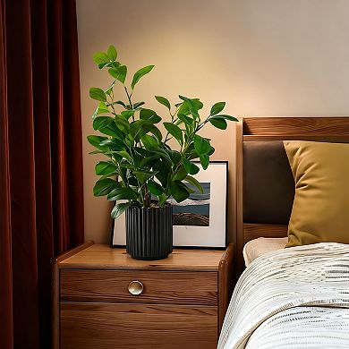 Realistic Touch Greenery Cream Black Pot Decor