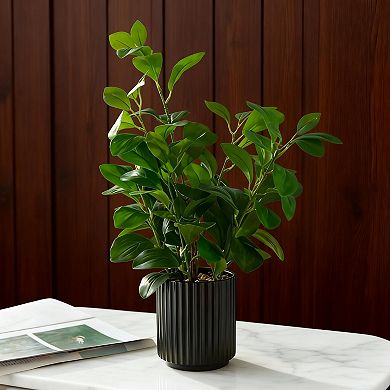 Realistic Touch Greenery Cream Black Pot Decor