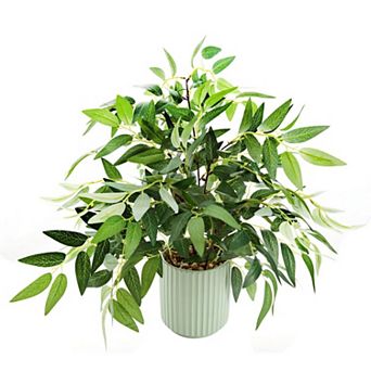 Artificial Willow Ribbed Ceramic Pot Home Decor