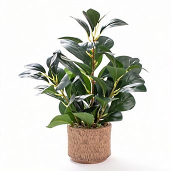 Realistic Ficus Plant Brown Ceramic Vase Decor