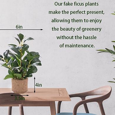 Realistic Ficus Plant Brown Ceramic Vase Decor