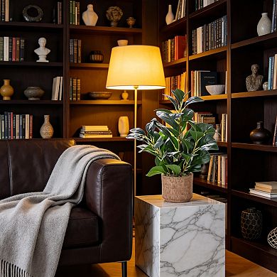 Realistic Ficus Plant Brown Ceramic Vase Decor