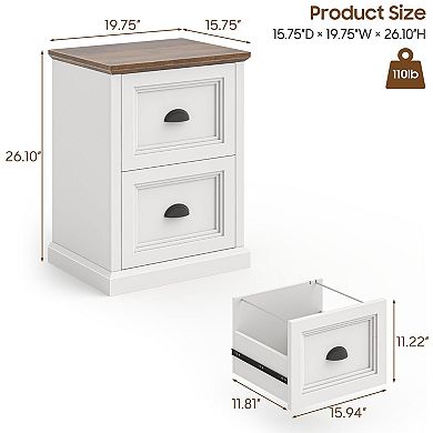 Vertical File Cabinet, Filing Cabinet with 2 File Drawers Fits Letter/A4 Size for Home Office