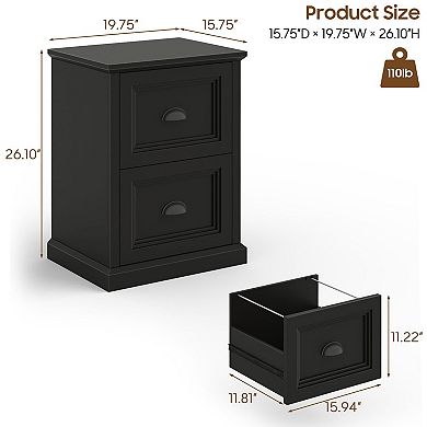 Vertical File Cabinet, Filing Cabinet with 2 File Drawers Fits Letter/A4 Size for Home Office