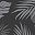 Black Grey