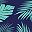 Navy Blue Jade Green