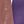 Pink Purple