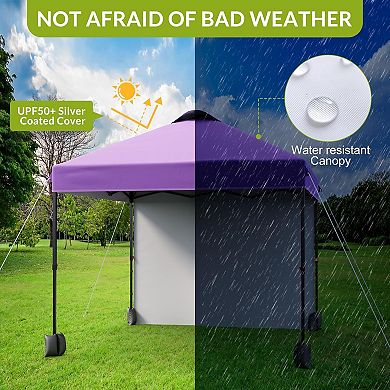 10x10 Pop Up Canopy with Sidewall, Vented Roof, Roller Bag, for Camping & Beach