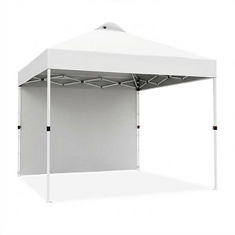 10x10 Pop Up Canopy with Sidewall, Vented Roof, Roller Bag, for Camping & Beach