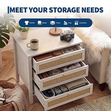 Wooden Rattan Nightstand Storage Cabinet with Drawers
