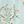 Light Green Daisy