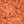 Light Orange