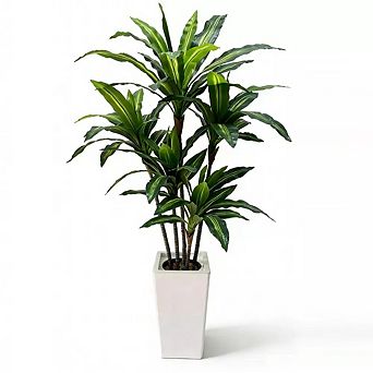 Artificial Dracaena Tree 5FT w/White Tall Planter - Faux Tree Tall Fake Floor Plant