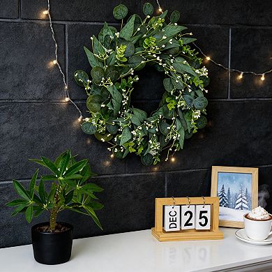 Eucalyptus Berry Wreath