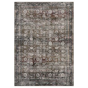Washable Rugs for Living Room Vintage Area Rug Stain-Resistant Distressed Carpet for Bedroom