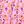 Pink Floral