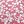 Pink White Floral