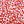Red Floral