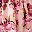 Pink Floral