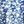 Blue Floral