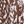 Khaki Leopard