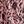 Pink Leopard