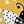 Yellow Polka Bee