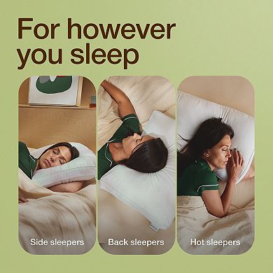 COOP Sleep Down Alternative Fill & Memory Foam Core Adjustable Premier Pillow