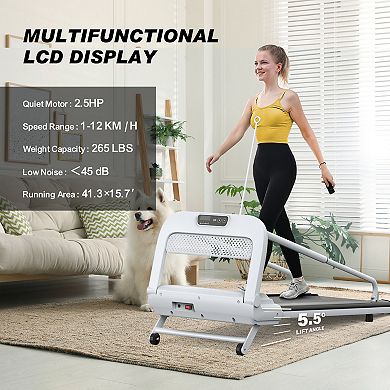 WOW PIONEER 2025 New Quiet Smart Pet Treadmill with Adjustable Speed for Small Medium Dogs