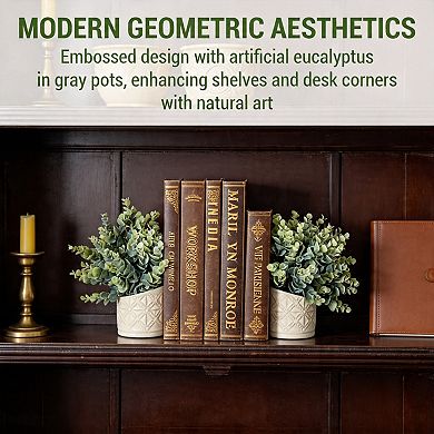 L Shaped Bookends With Eucalyptus and Concrete Pot