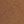Pecan Tan