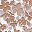 Brown Multi