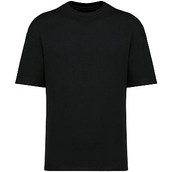 Native Spirit Mens French Terry T-Shirt