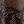 Dark Brown Multi
