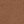 Pecan Tan