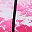 Black Fuchsia Hot Pink