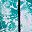 Black Green Green