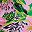 Brown Pink Green
