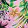 Green Pink Green