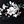 Black Floral