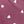 Mauve Purple