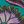 Teal Berry