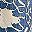 Blue White