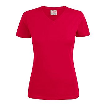 Printer Womens/Ladies V Neck T-Shirt