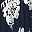 Navy Silver