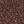 Tiramisu Brown