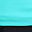 Blue Mint Green