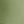 Leopard Army Green